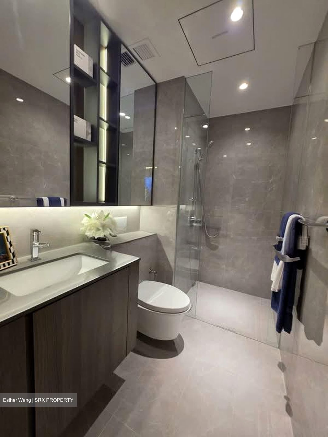 Dunman Road (D15), Condominium #604141981